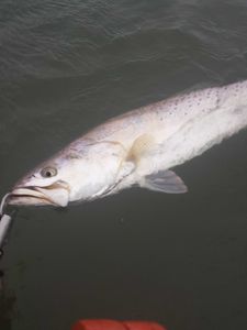 Fishing adventure in TX