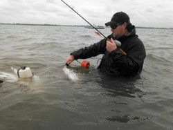Angler fishing in Galveston