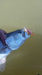 A fishing trip in TX