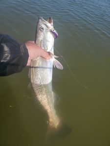 Fishing in Galveston, Texas