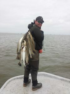 Two 15-inch fish caught while fishing in Galveston