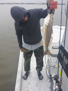 Redfish caught in Galveston