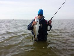 Spotted weakfish caught in Galveston