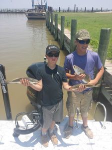 Spotted Weakfish caught in Galveston, Texas