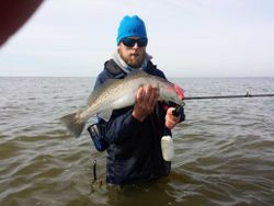 Spotted weakfish caught while fishing in TX