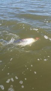Fishing adventure in TX