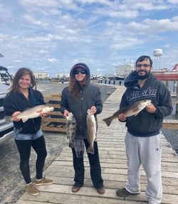 4 black drum fishing in NC