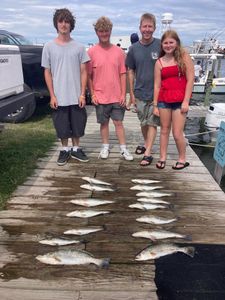 Three spotted weakfish caught fishing in NC