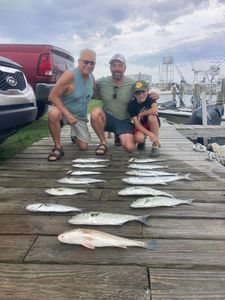 Four bluefish caught by three people fishing in Wanchese