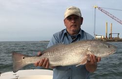 Redfish caught while fishing in NC