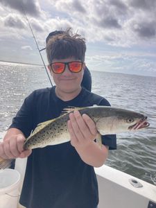 A photo of a spotted weakfish caught while fishing in North Carolina