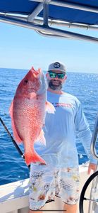 Grey snapper caught while fishing in Port Canaveral