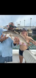 Redfish caught while fishing at Port Canaveral