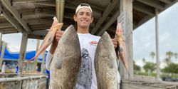 Grouper and Hogfish reels of the day in Sarasota