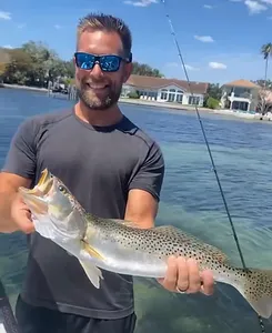 Spotted trout bliss in Florida waters