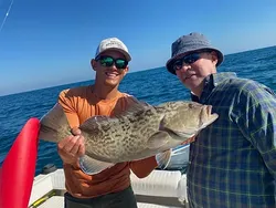 Fish of the day. Grouper in Sarasota, FL