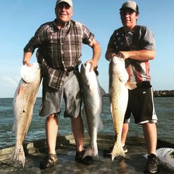 3 redfish caught in TX