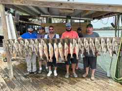 6 redfish caught fishing in Port O'Connor
