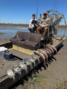 Three big black drum fish caught in TX