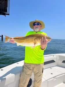 Amazing Redfish on display! Only in New Orleans!