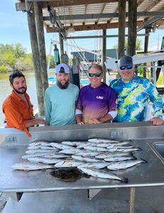 5 summer flounder caught in LA