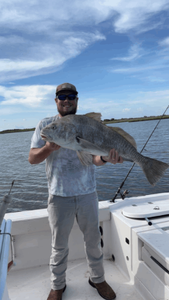 Angler with large fish in LA