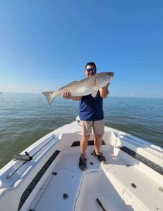 Redfish caught in LA