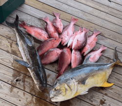 Fishing trip in LA