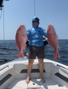Two grey snapper fish caught in Hopedale