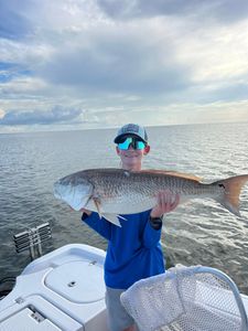 Redfish caught in LA while fishing