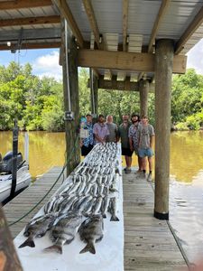Sheepshead fish caught by six people in Hopedale