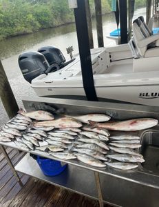 Three fishing lines in Hopedale
