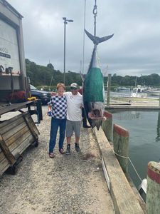 Large Tuna Caught in Cape Cod