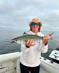 Fishing for Bonito in Orleans rocks!