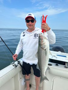 fishing at cape cod