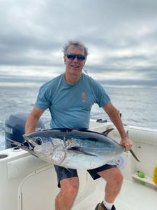 Fishing for Tuna in Cape Cod