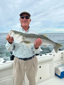 cape cod fishing trips