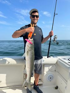 happy fishing stripe bass