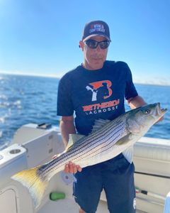 Caught a Nice Striped Bass in Cape Cod