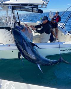 Offshore Adventure Awaits in Cape Cod!