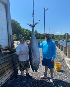 Cape Cod's Deep Secrets: Massive Tuna Fishing