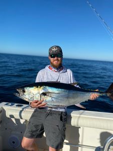 A large blackfin tuna caught while fishing in MA