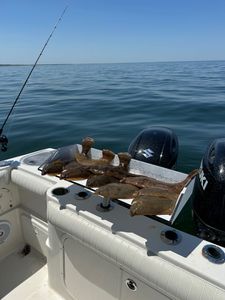 Flounders on a tray.