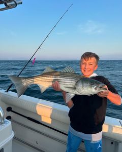 Striper season is here!