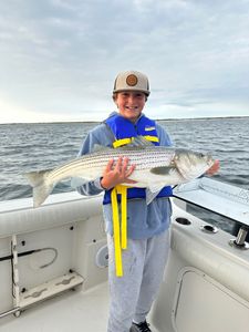 stripe bass on thrive