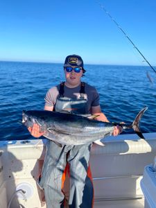 A lone fishing enthusiast reeling in a big catch in MA
