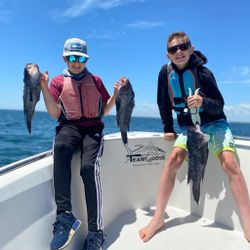 Three fishing rods in the water with a scenic view of Orleans