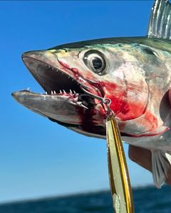 Fishing enthusiasts enjoying a day in Orleans