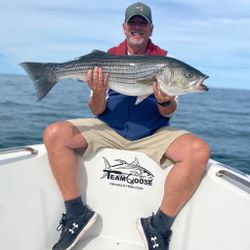 Striped bass caught while fishing in MA