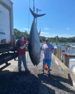 One big fish caught in Orleans